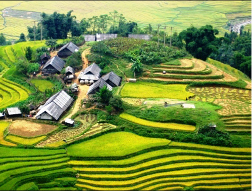 Thung -lung-chau-mai