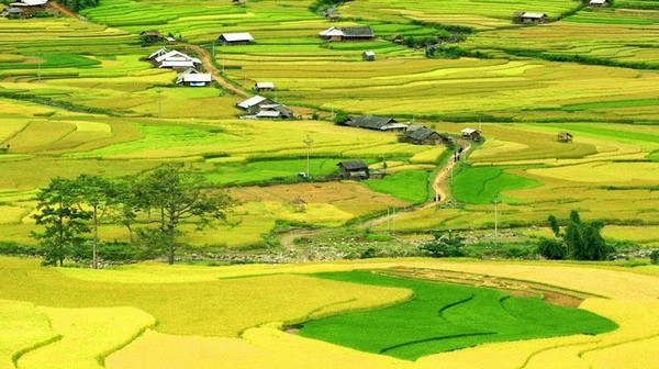 muong-thanh-600x336