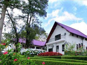 Bluewatar Holtel Đà Lạt với không gian vô cùng lãng mạn