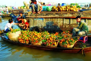 Khám phá chợ nổi Cái Răng bằng thuyền lênh đênh trên sông nước