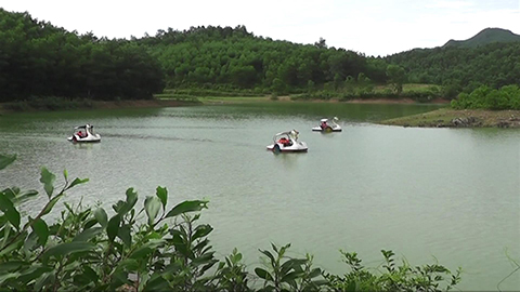 Đập Vệ Vừng