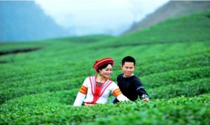 Đồi chè Tân Cương là điểm tuyệt vời cho các bạn trẻ thỏa sức chụp ảnh