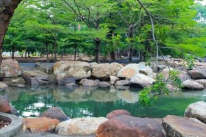 Không gian xanh ở Thủy Châu- Bình Dương