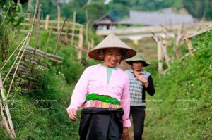 Lũng Vân là điểm lý tưởng để con người ta an hưởng tuổi già