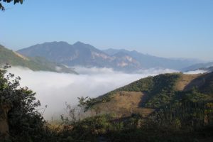 Mường Lát hoa về trong đêm hơi