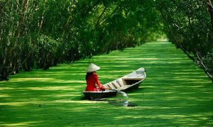 Những khoảng khắc đẹp ở An Giang