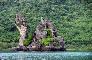 Vườn Quốc Gia Ba Mùn với nhiều động thực vật phong phú đa dạng