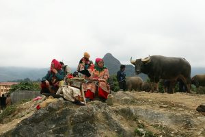 Chợ Bắc hà noi nào cũng có hình ảnh đẹp