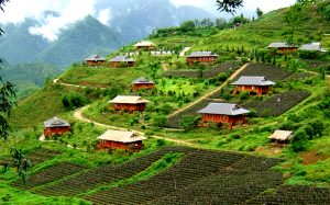 Bản Hon mơ màng trong thiên nhiên tươi đẹp