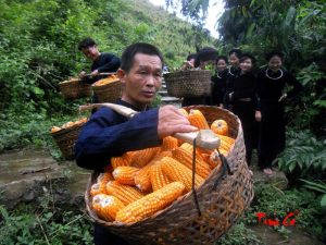 Người dân nơi đây rất thân thiện, mến khách