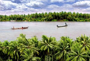 Cảnh đẹp xứ dừa Bến Tre