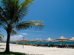 Trong xanh biển trời Của Đại