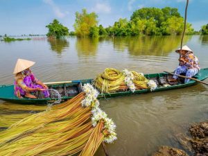 Cảnh đẹp bình yên thường gặp khi Link Mobile Đăng Ký Tải App Jun88.com 2026 Đồng Tháp