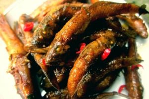 Món cá bống kho tộ ăn với cơm ăn ngon vô cùng