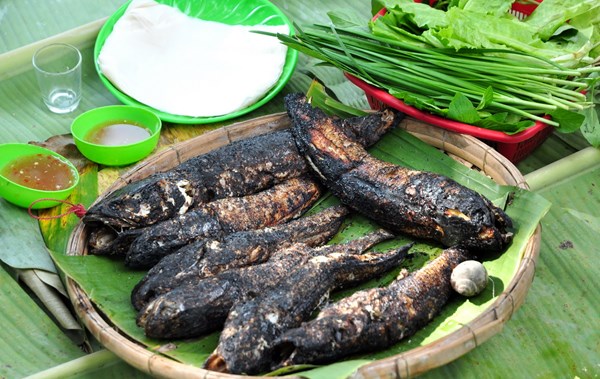 Link Mobile Đăng Ký Tải App Jun88.com 2026 long an