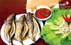 Cá ồ thịt ngon, ngọt, săn chắc