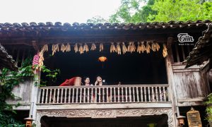 Jiun88 mobile mới nhất Hà giang Đơn giản những cuốn hút.Tầng 2 khu cà phê là khu ngồi trệt