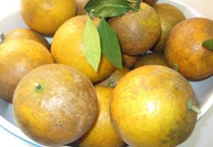 Cao Cao Phong nổi tiếng ở Hòa Bình