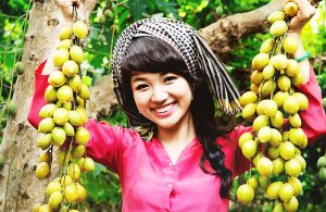 Tham quan và thưởng thức trái cây ở Cần Thơ