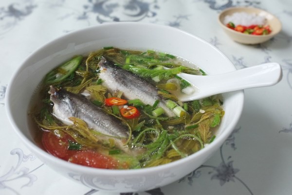 Link Mobile Đăng Ký Tải App Jun88.com 2026 long an