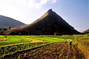 Cánh đồng Than Uyên bình dị, mộc mạc những thu hút lòng người