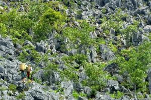 Bãi đá cổ trong cao nguyên địa chất, nơi có khắc những hình thù kỳ lạ đang được nghiên cứu