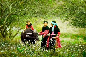 Gia đình cùng nhau đi chợ phiên Bắc Hà