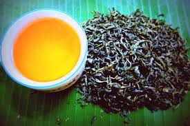 Chè San Tuyết nổi tiếng khu vực Yên Bái