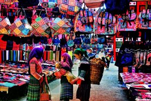 Ngập tràn sắc màu, thú vị và mới lạ