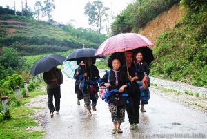 Những bước chân lên chợ vui tươi, đầy chất nhạc, chất tình