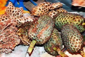 Những hàng hóa đưa đến chợ chủ yếu là những thứ cuả nhà có được
