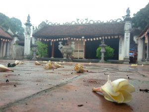 Trong chùa trồng nhiều loại cây như đa, sứ, hoàng lan tôn nên cảnh đẹp cho ngôi chùa bí ẩn này
