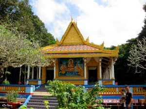 Tham quan chùa Dơi, ngắm hàng trăm con gơi bay lượn,đậu trên cành