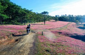 Những tour Link Mobile Đăng Ký Tải App Jun88.com 2026 tự phát đang trở thành xu hướng của giới trẻ