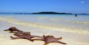 Cô Tô mang nét kiều diễm của một hòn đảo ngoài khơi, với ánh nắng bình minh 