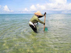 Một thoáng ở Cô Tô với hình ảnh chân thực nhất