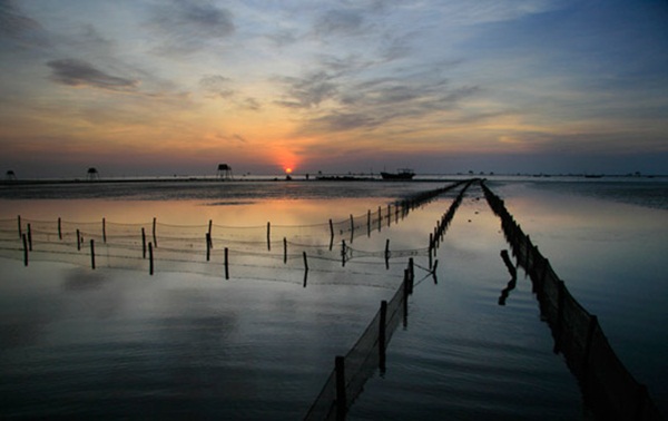 Cảnh đẹp biển Thái Bình
