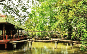 Thiên nhiên tươi đẹp ở Cồn Ốc