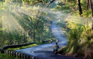 Mộng mơ cảnh đẹp Đà Lạt