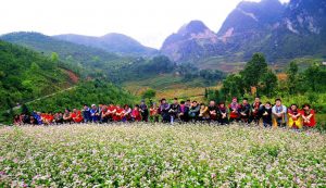Đèo Mã Phục mùa tam giác mạch về