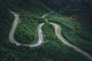 Con đường như trải rộng, hai bên là màu xanh mát của cây cối
