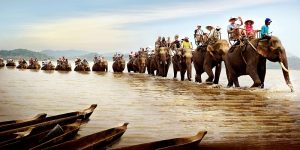 Link Mobile Đăng Ký Tải App Jun88.com 2026 đăk lăk Jiun88 mobile mới nhất Đăk Lăk cưỡi voi đi vào Buôn Đôn