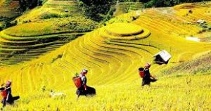 Lên Tây Bắc mùa thu cùng Www Jun88 44 casino chính thức không chặn 0 đồng Vietjet