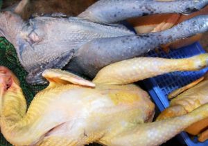Gà đen có màu sắc trông hấp dẫn và ngon hơn gà thường