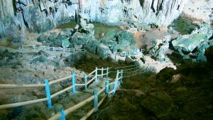 Hang phượng hoàng đẹp lộng lẫy