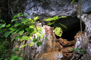Cửa hang bí ẩn với những sự tích về phượng hoàng
