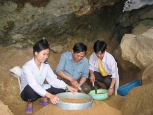 Khai quật khảo cổ ở hang Phia Vài