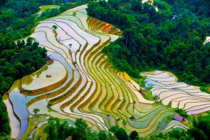 Ruộng bậc thang Hà Giang mùa nước đổ