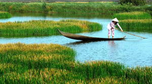 Jiun88 mobile mới nhất Hậu Giang