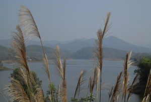 Chút đẹp hoang dại ở hồ Cấm Sơn